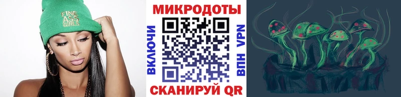 KRAKEN как войти  Старая Русса  Галлюциногенные грибы MAGIC MUSHROOMS  где купить  