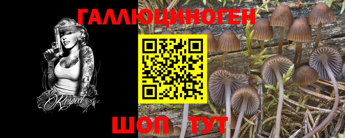 Галлюциногенные грибы MAGIC MUSHROOMS  Вход с VPN  где купить   Старая Русса 