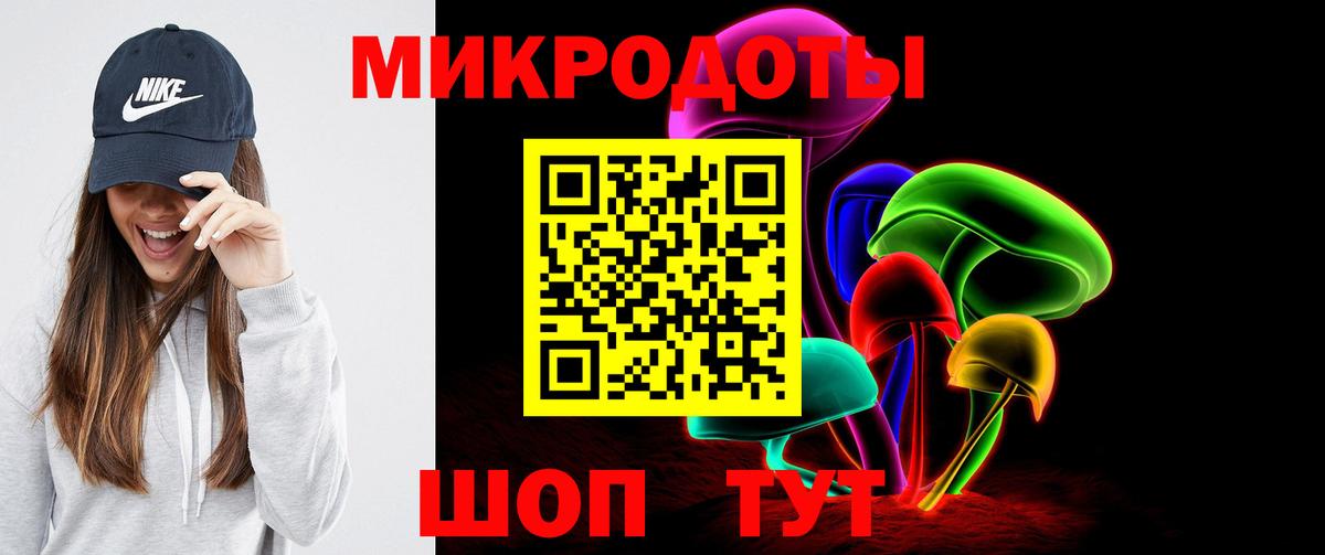 Галлюциногенные грибы Cubensis Старая Русса