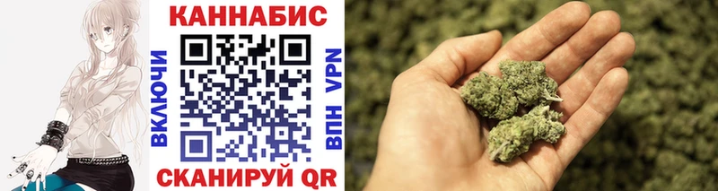 Бошки Шишки Amnesia  Старая Русса 